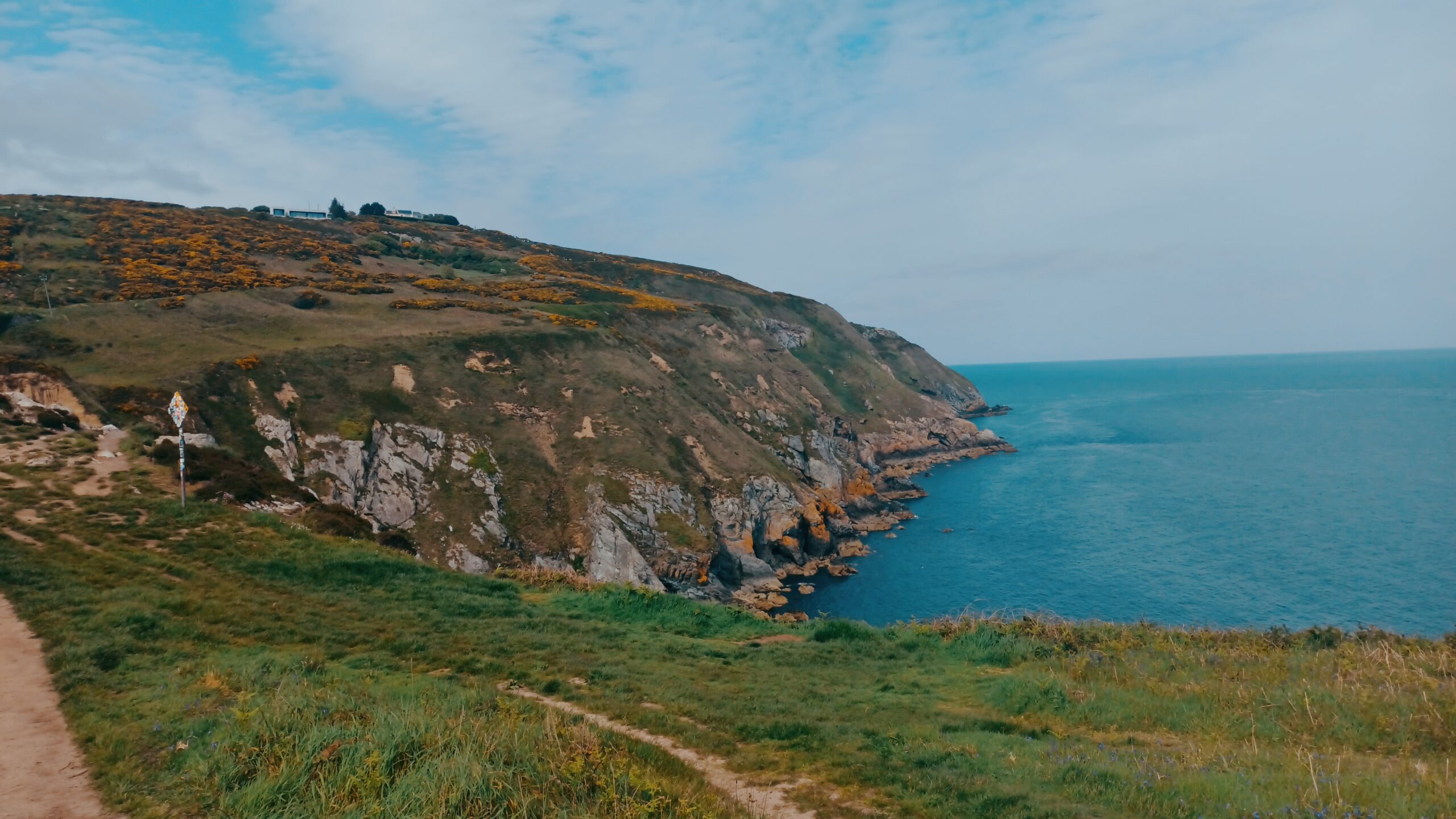 Gelbe Wildblumen und salzige Meeresluft: Die Halbinsel Howth